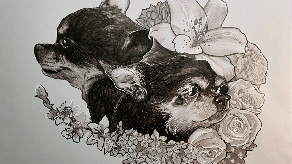 Ink and pen drawing in grayscale of two chihuahuas looking in opposite directions with flowers surrounding them around one side.
