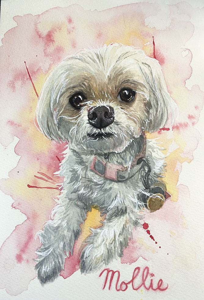 Watercolor painting with a yellow and pink abstract background of a small white dog with a pink collar and the word "Mollie" in the bottom right.